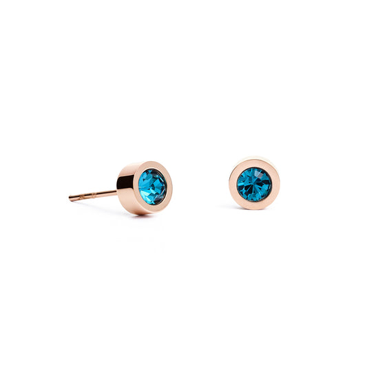 0228/21-0628 Coeur de Lion Stainless Steel Blue stone set stud earrings